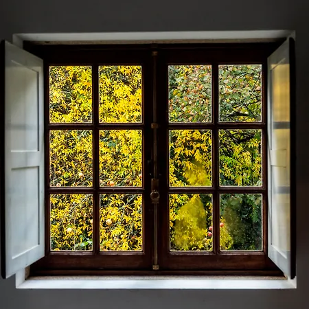 Quinta Da Roseira 4* Ponte de Lima